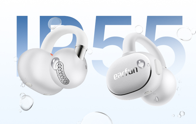 IP55